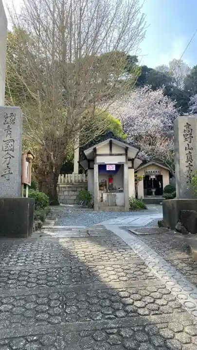 長門国分寺の{uncategorized: "未分類", other: "その他", undefined: "問題あり", building: "その他建物", grave: "お墓", sacred_gate: "鳥居", guardian: "狛犬", statue: "像", buddha: "仏像", history: "歴史", nature: "自然", garden: "庭園", animal: "動物", pagoda: "塔", temizu: "手水舎", mountain_gate: "山門・神門", sanctuary: "本殿・本堂", subordinate: "末社・摂社", art: "芸術", scenery: "景色", jizo: "地蔵", ema: "絵馬", goshuin: "御朱印", omikuji: "おみくじ", items: "授与品その他", amulet: "お守り", goshuincho: "御朱印帳", eats: "食事", festival: "お祭り", votive_dance: "神楽", shichigosan: "七五三参", wedding: "結婚式", experience: "体験その他", initially: "初詣", around: "周辺", anti_infection: "感染症対策"}