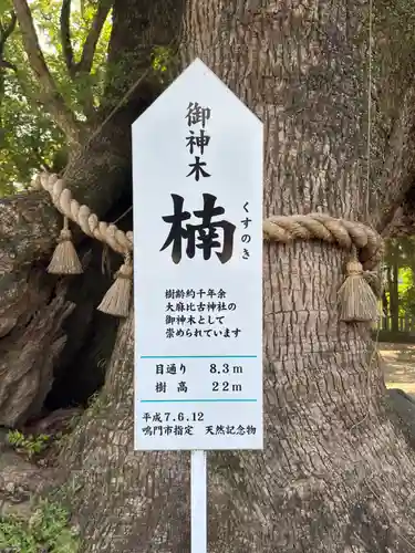 大麻比古神社(徳島県)