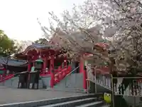 甚目寺の本殿・本堂