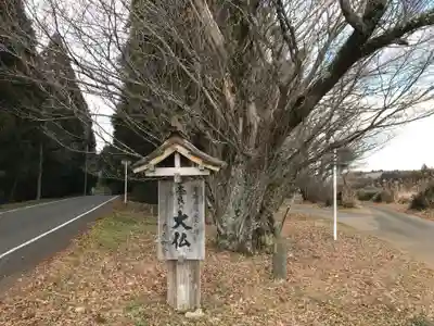 奈良の大仏のその他建物