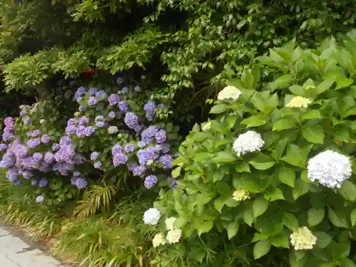 須磨稲荷大明神・和佐稲荷大明神の自然