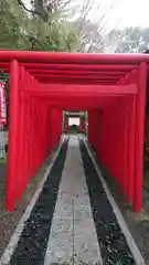 津島神社の鳥居