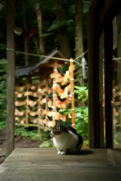 十和田神社(青森県)