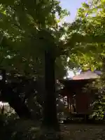 八坂神社(千葉県)