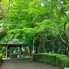 縣居神社の手水