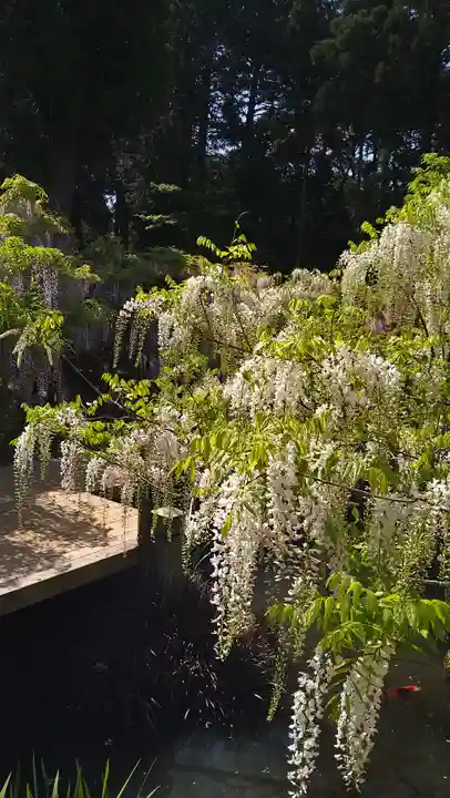 歌泉堂(春日大社神苑萬葉植物園内鎮座)(奈良県)
