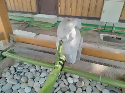 港住吉神社（住吉大社境外末社）の手水舎