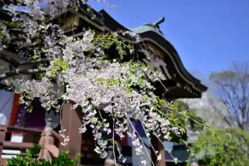福傳寺(東京都)
