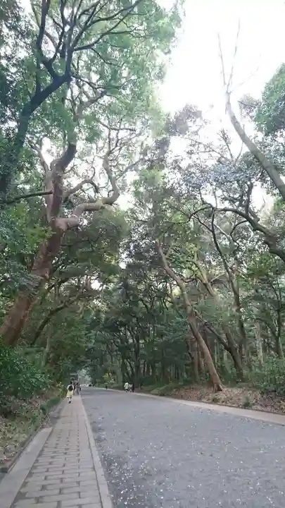 明治神宮の自然