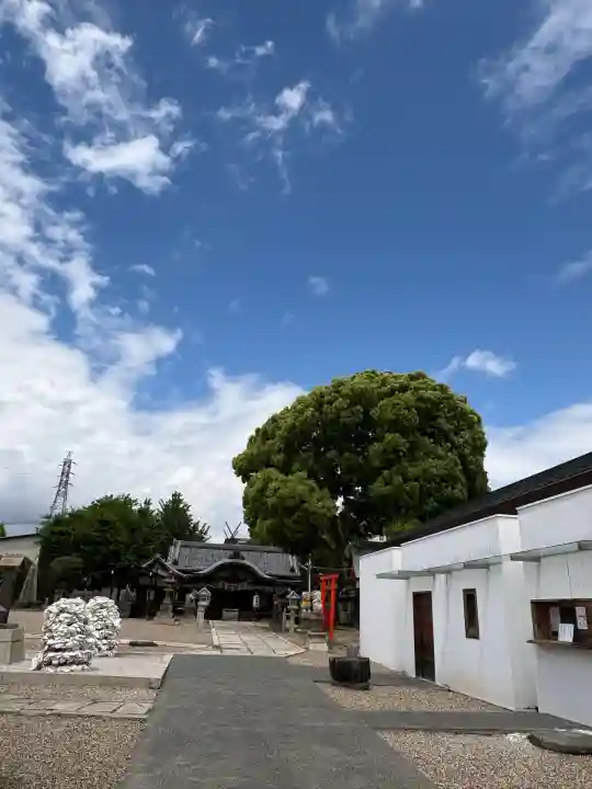姫嶋神社の{uncategorized: "未分類", other: "その他", undefined: "問題あり", building: "その他建物", grave: "お墓", sacred_gate: "鳥居", guardian: "狛犬", statue: "像", buddha: "仏像", history: "歴史", nature: "自然", garden: "庭園", animal: "動物", pagoda: "塔", temizu: "手水舎", mountain_gate: "山門・神門", sanctuary: "本殿・本堂", subordinate: "末社・摂社", art: "芸術", scenery: "景色", jizo: "地蔵", ema: "絵馬", goshuin: "御朱印", omikuji: "おみくじ", items: "授与品その他", amulet: "お守り", goshuincho: "御朱印帳", eats: "食事", festival: "お祭り", votive_dance: "神楽", shichigosan: "七五三参", wedding: "結婚式", experience: "体験その他", initially: "初詣", around: "周辺", anti_infection: "感染症対策"}