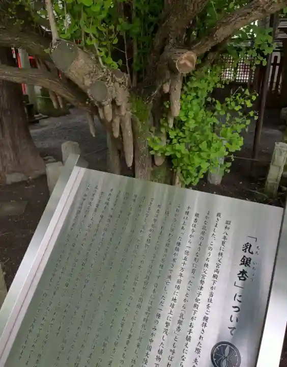 秩父神社(埼玉県)