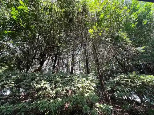 手力雄神社(岐阜県)