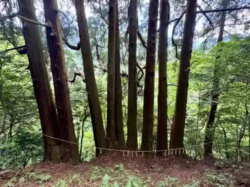 天岩戸神社(宮崎県)
