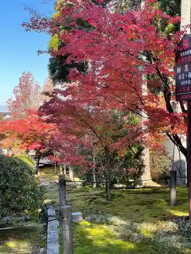 酬恩庵一休寺(京都府)