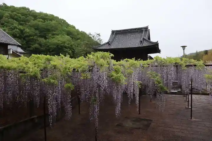 長泉寺の庭園