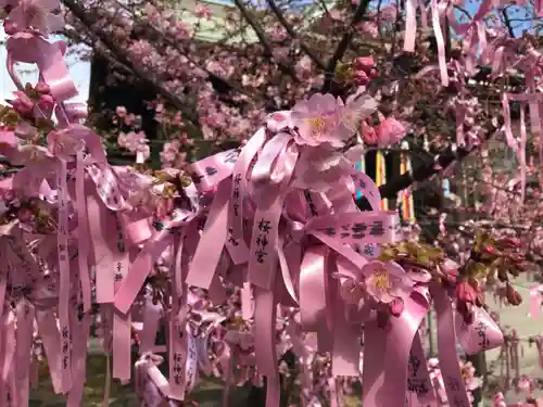 桜神宮のその他建物