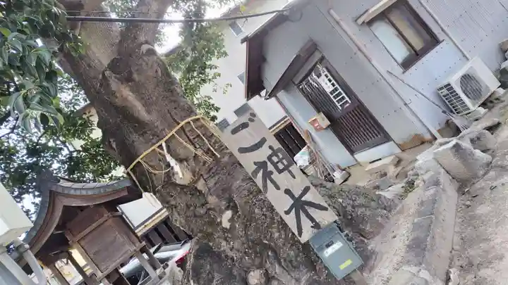 櫟谷七野神社(京都府)