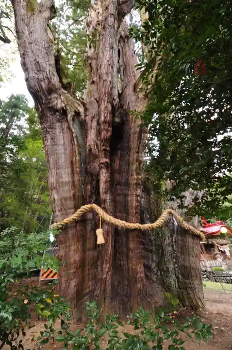 八坂神社(高知県)