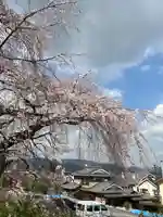 岩屋寺(京都府)