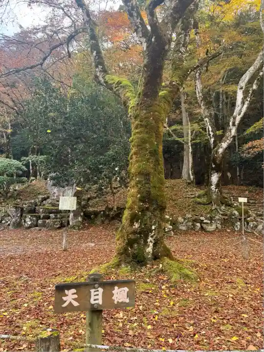 高源寺(兵庫県)