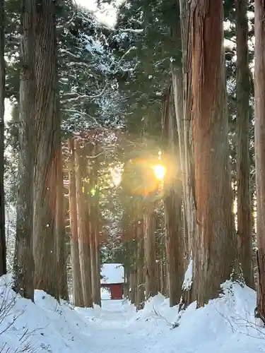 戸隠神社九頭龍社の景色