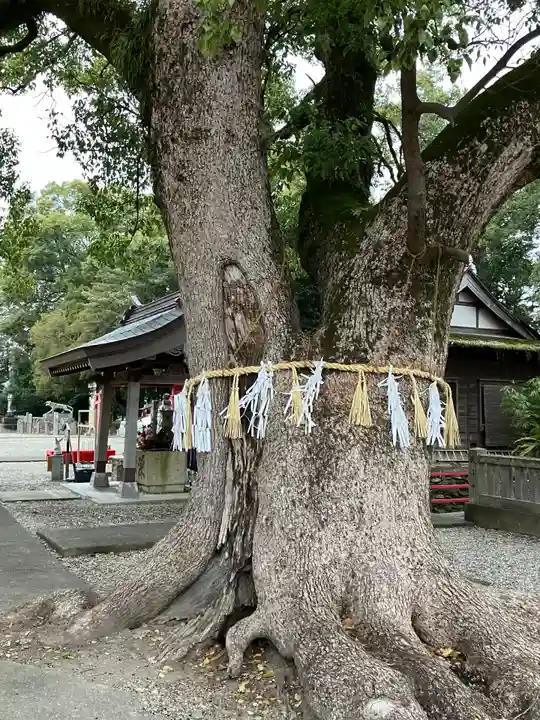 大御和神社の自然