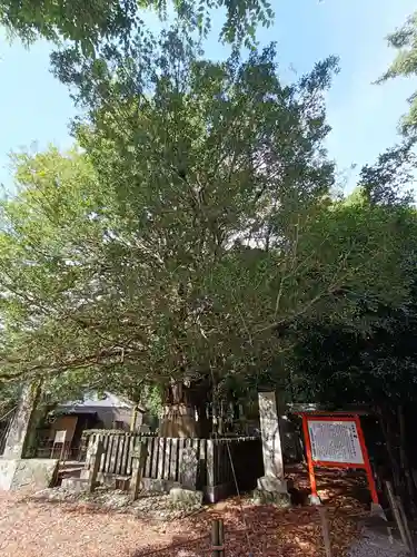 熊野速玉大社の自然