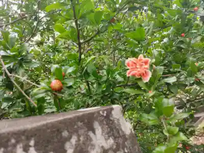 賀茂別雷神社(栃木県)