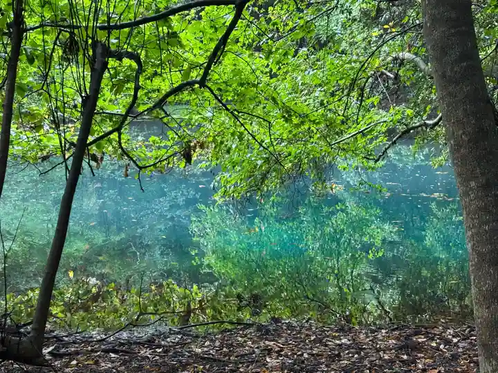 丸池神社(山形県)