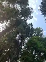 大宮温泉神社(栃木県)