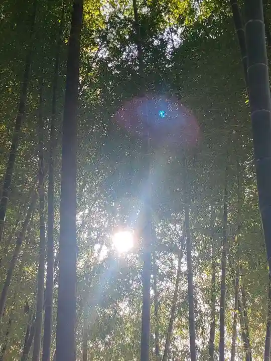 小川諏訪神社(福島県)