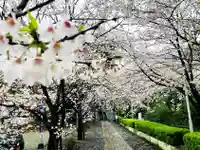 豊葦原神社の自然