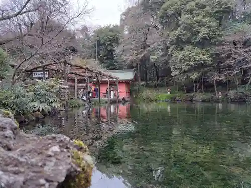 富士山本宮浅間大社(静岡県)