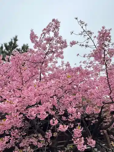 新宿下落合氷川神社(東京都)