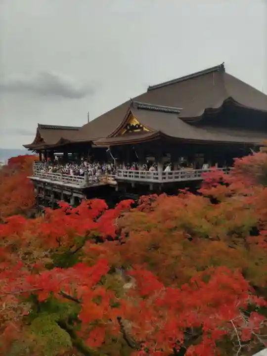 清水寺(京都府)