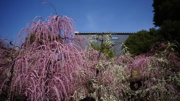 城南宮(京都府)