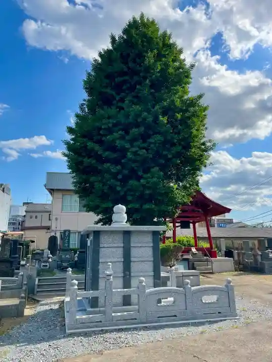 光照寺(栃木県)