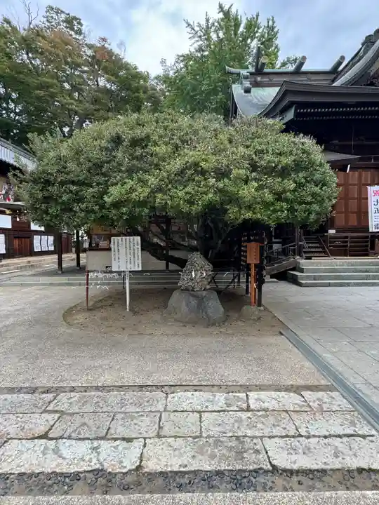 武水別神社(長野県)
