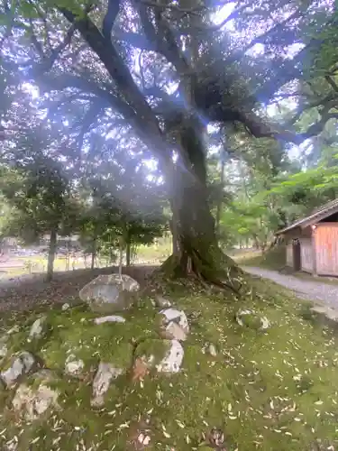 若狭神宮寺(福井県)