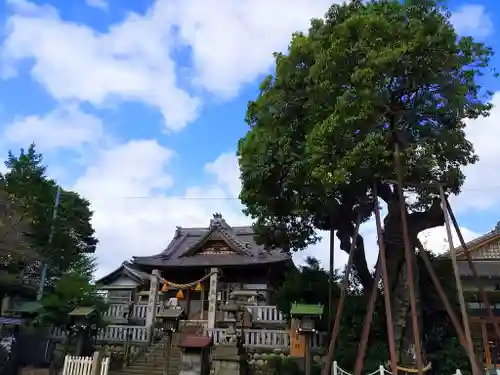 村國真墨田神社の建物その他