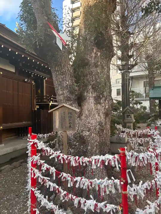 三輪神社(愛知県)
