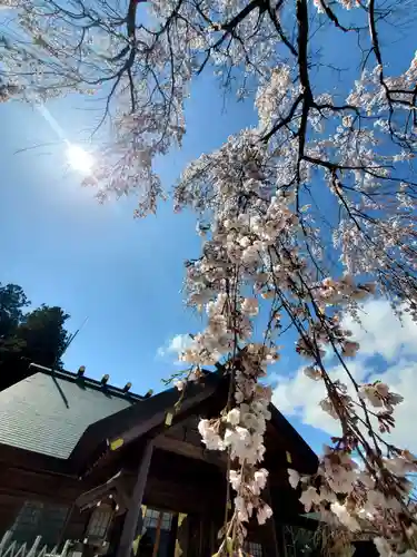 開成山大神宮(福島県)