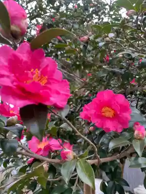 鎌数伊勢大神宮(千葉県)