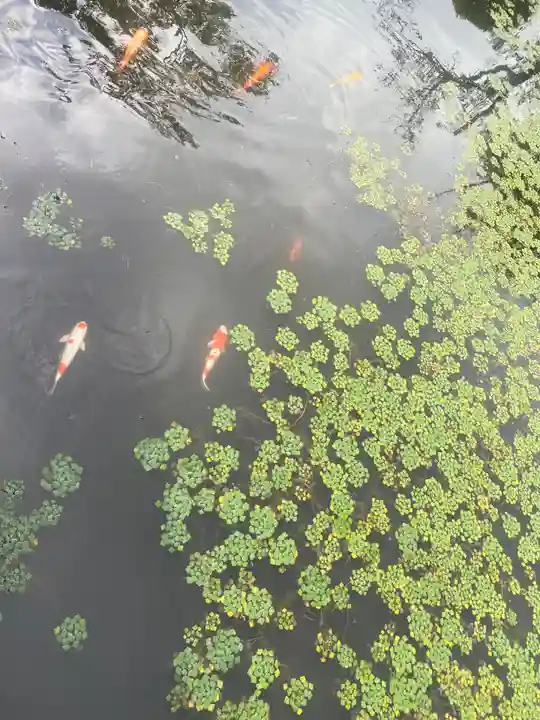 涼ケ岡八幡神社(福島県)