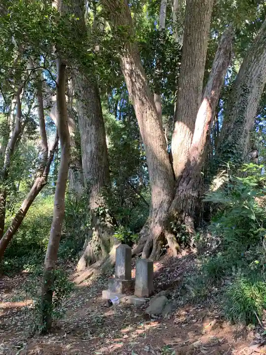 泉蔵寺(千葉県)