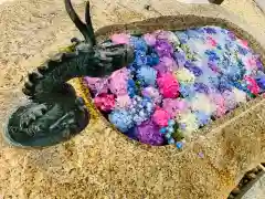 金井神社の手水