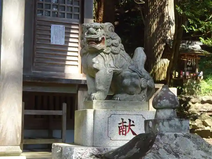 九頭龍神社の狛犬