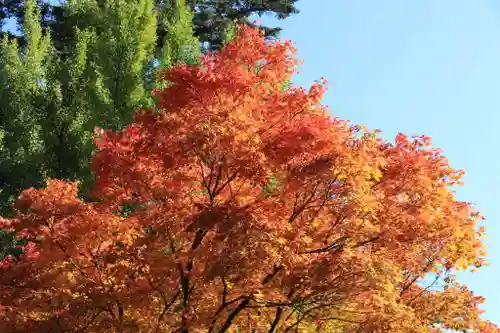 千手院の景色