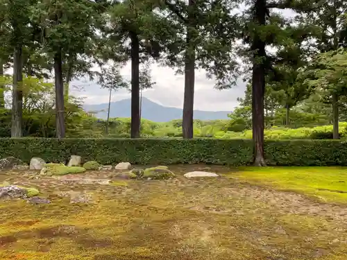 圓通寺(京都府)