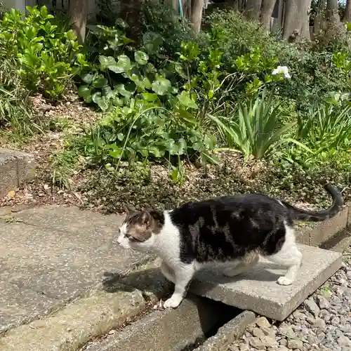 法華経寺(千葉県)